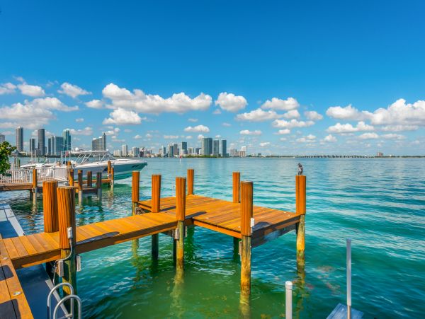 Miami Beach Home 954841