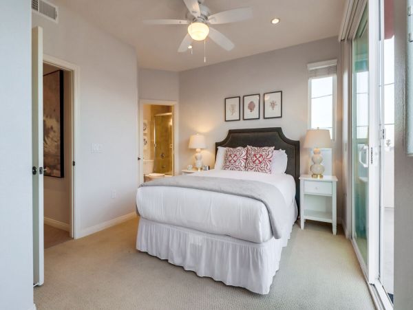 Newly Remodelled Home in Bird Rock!