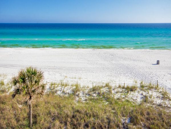 Panama City Beach Condo 955164