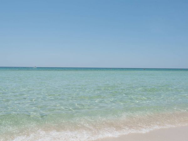 Panama City Beach Condo 955179