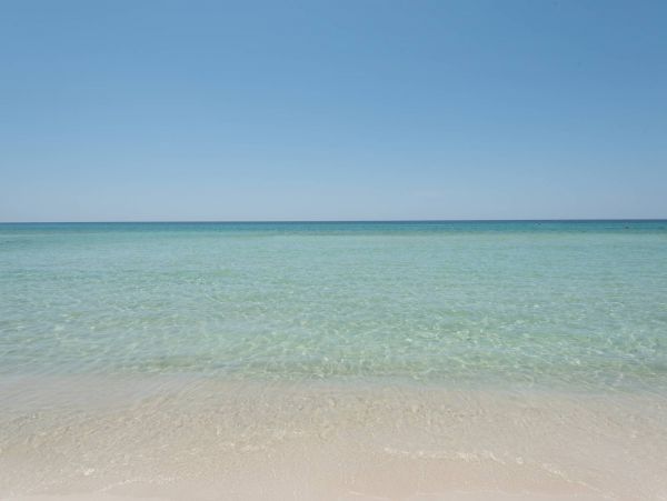 Panama City Beach Condo 955179