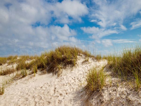 Panama City Beach Condo 955194