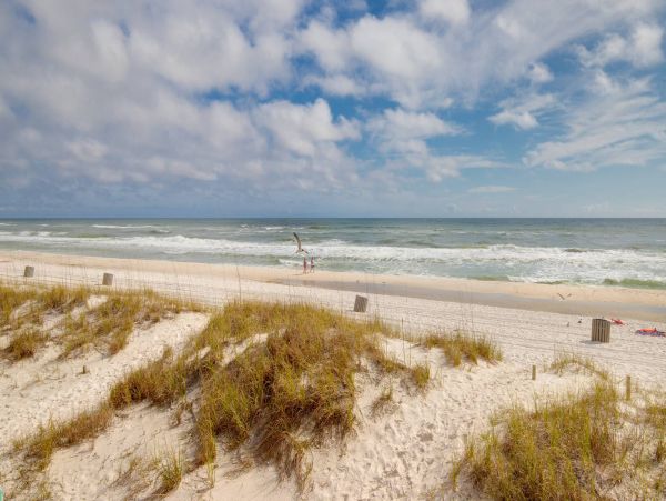 Panama City Beach Condo 955194