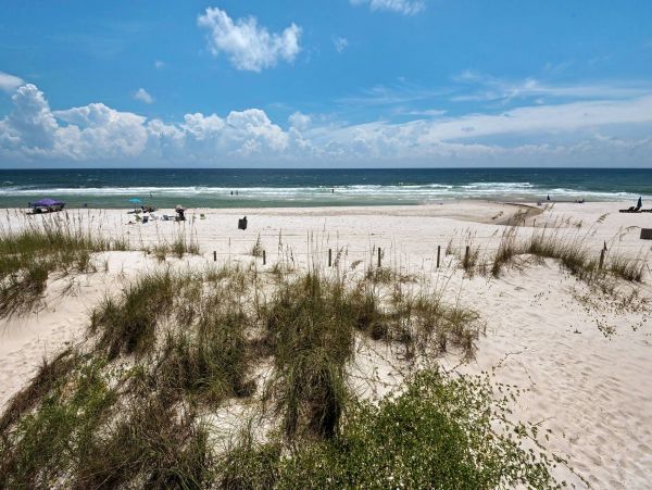 Panama City Beach Condo 955196
