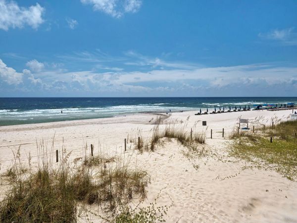 Panama City Beach Condo 955196