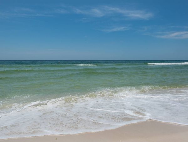 Panama City Beach Condo 955205