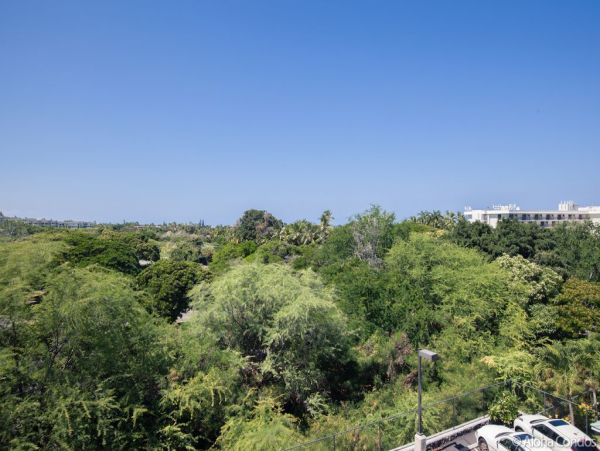 Kailua Kona Condo 955234