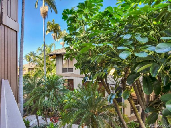 Kailua Kona Condo 955235