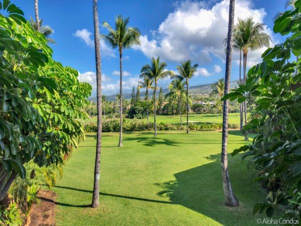 Kailua Kona Condo 955235