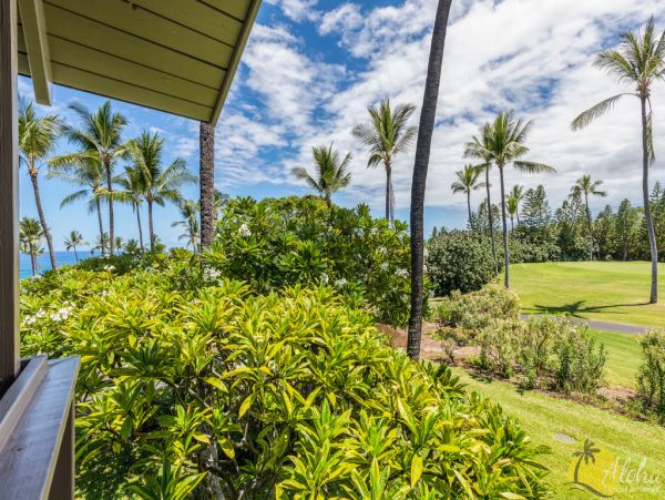 Kailua Kona Condo 955236