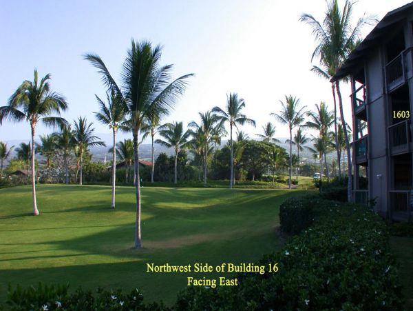 Kailua Kona Condo 955238