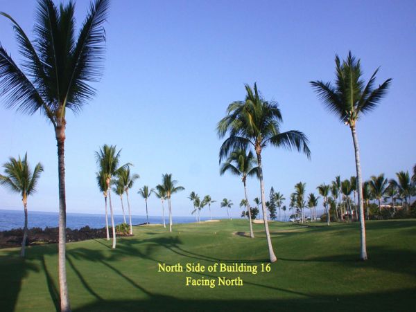 Kailua Kona Condo 955238