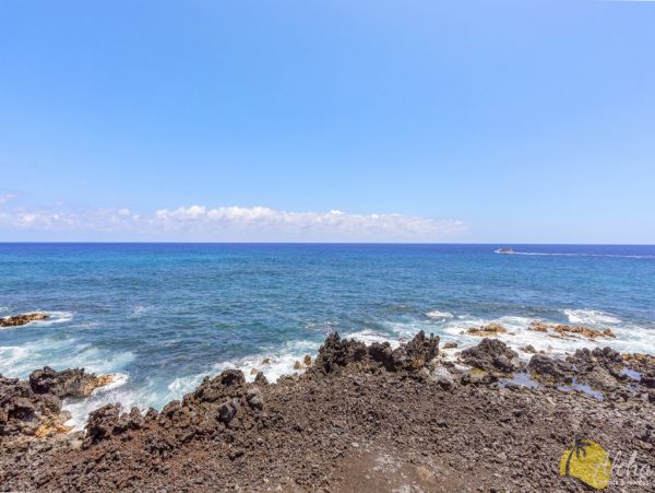 Kailua Kona Condo 955242