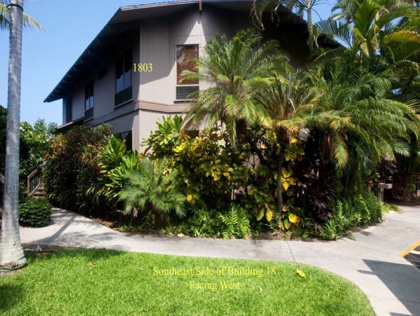 Kailua Kona Condo 955242
