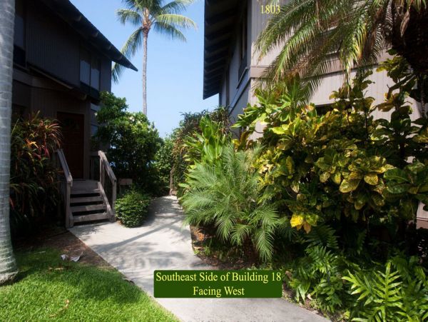 Kailua Kona Condo 955242