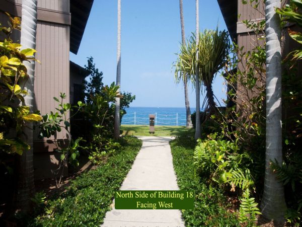 Kailua Kona Condo 955242