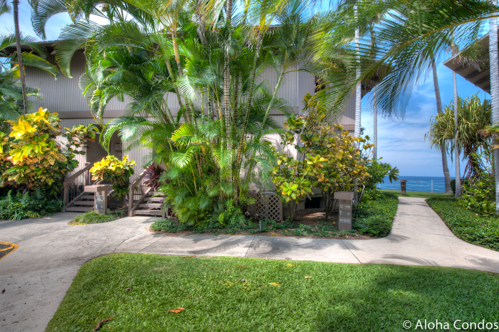Kailua Kona Condo 955243