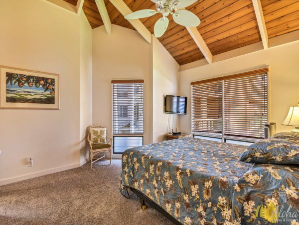 Kailua Kona Condo 955245