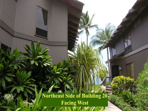Kailua Kona Condo 955245