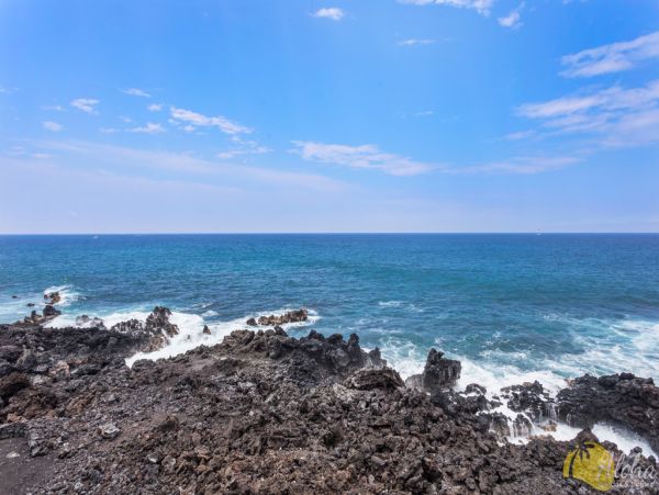 Kailua Kona Condo 955246