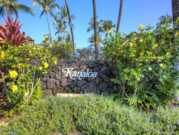 Kailua Kona Condo 955246