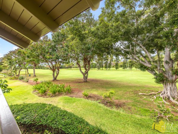 Kailua Kona Condo 955247