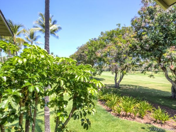 Kailua Kona Condo 955247