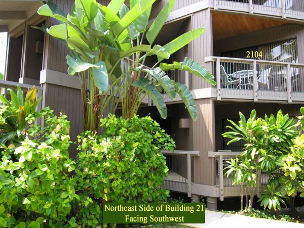 Kailua Kona Condo 955249