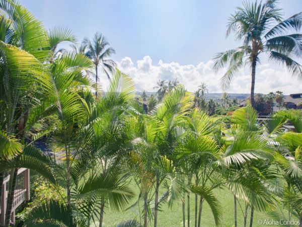 Kailua Kona Condo 955251