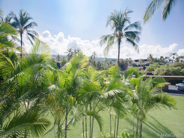 Kailua Kona Condo 955251
