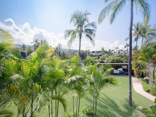 Kailua Kona Condo 955251