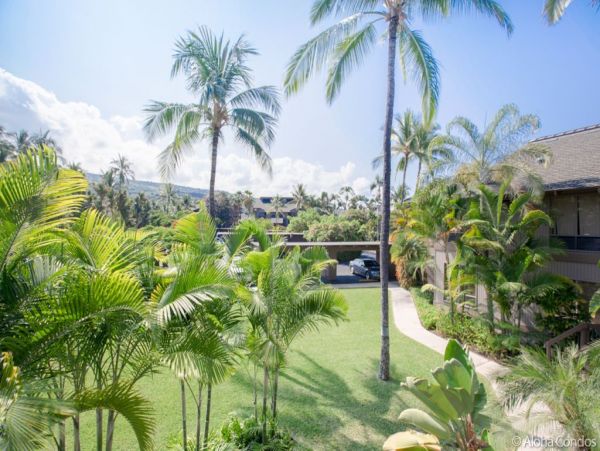 Kailua Kona Condo 955251
