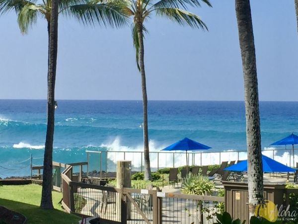 Kailua Kona Condo 955253