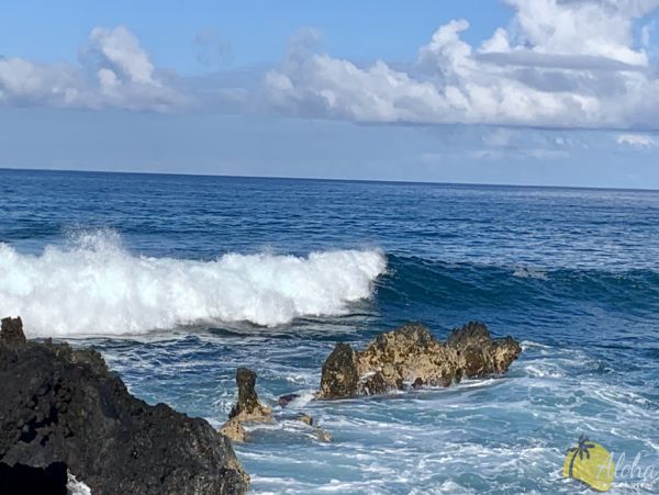 Kailua Kona Condo 955253