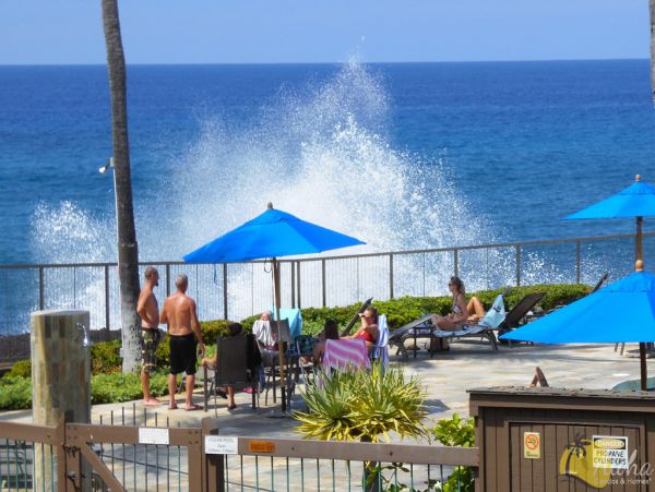 Kailua Kona Condo 955253