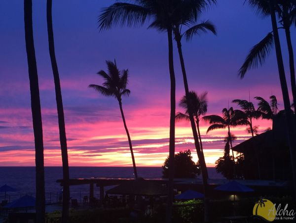 Kailua Kona Condo 955253