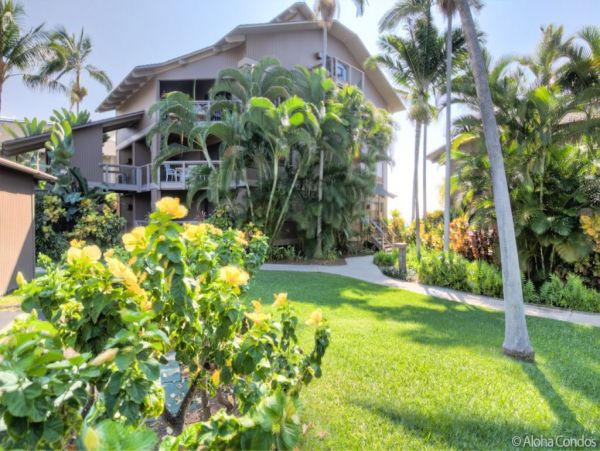 Kailua Kona Condo 955255