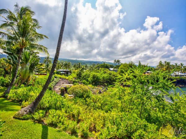 Kailua Kona Condo 955259