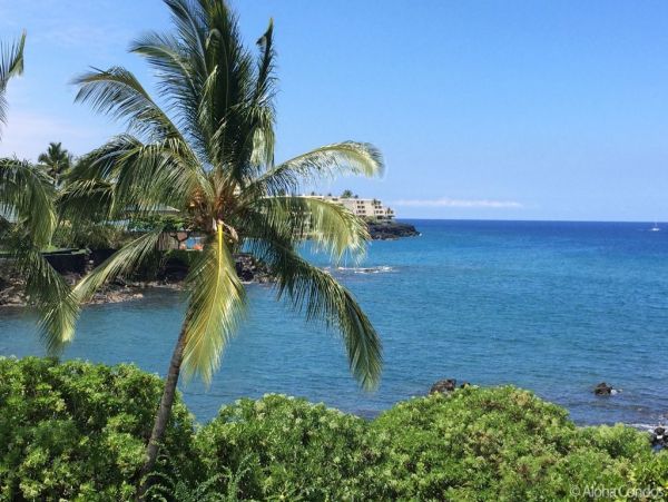 Kailua Kona Condo 955260