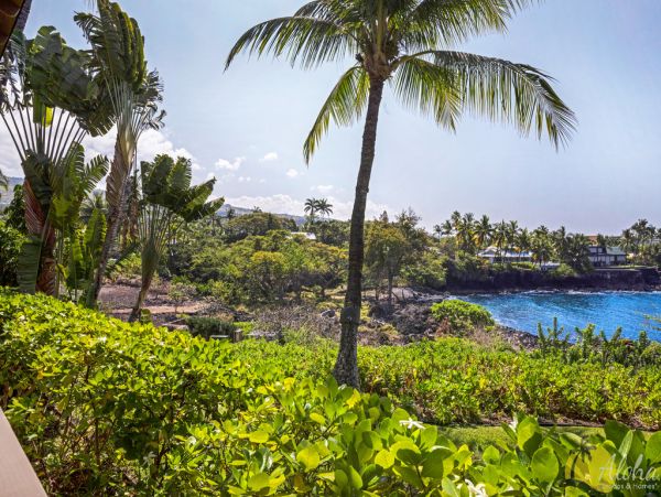 Kailua Kona Condo 955261