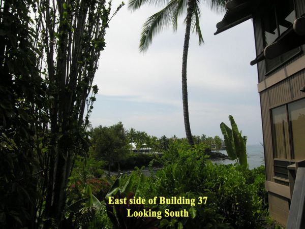 Kailua Kona Condo 955261