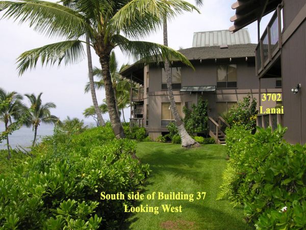 Kailua Kona Condo 955261