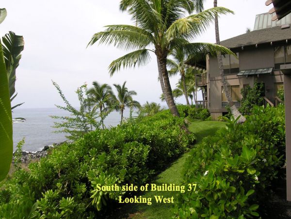 Kailua Kona Condo 955261