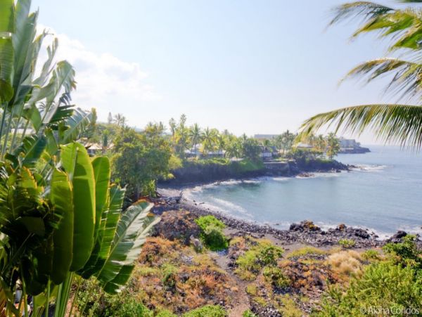 Kailua Kona Condo 955263