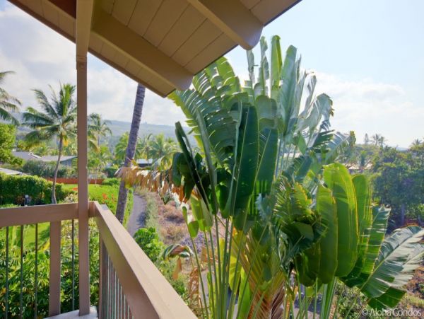 Kailua Kona Condo 955263