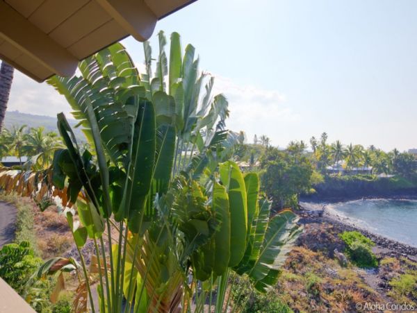 Kailua Kona Condo 955263