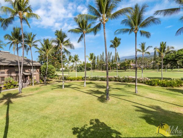 Kailua Kona Condo 955265