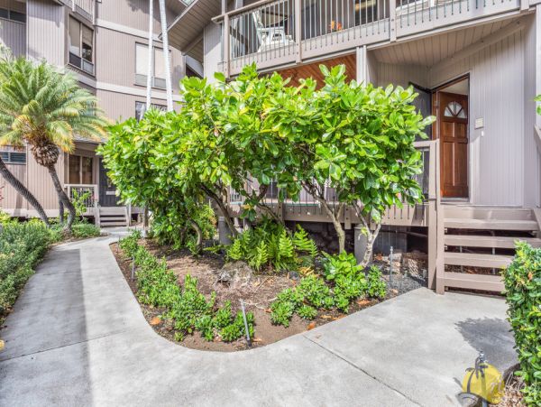 Kailua Kona Condo 955265
