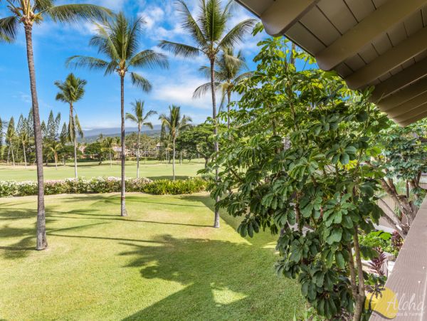 Kailua Kona Condo 955265
