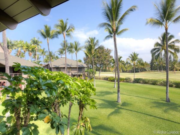 Kailua Kona Condo 955266